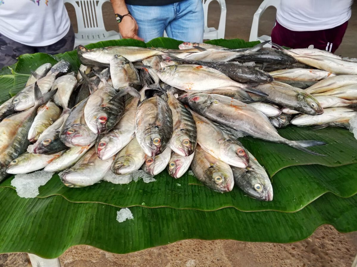 Primera Feria comunal del pescado recorrió 21 puntos en Monagas 2 pescado2