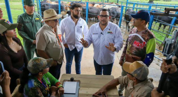 En Monagas arranca II fase del Plan nacional de caracterización bovina