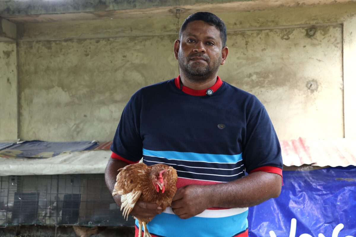 Raíces de Boquerón consolida la producción alimentaria en Maturín 3 pollo3