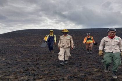Incendio forestal
