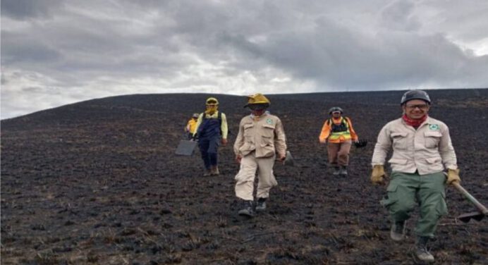 Incendio forestal en Mérida afecta a más de 160 hectáreas