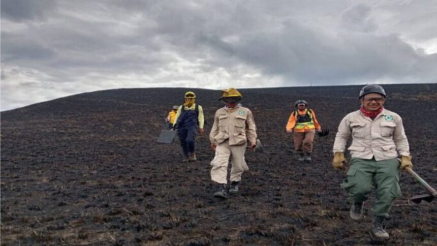 Incendio forestal en Mérida afecta a más de 160 hectáreas 1 Incendio forestal
