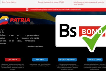 Bono de Ingreso Mínimo Integral