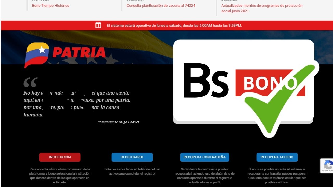 Bono de Ingreso Mínimo Integral