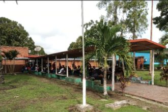 Universidad Ludovico Silva