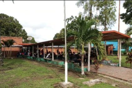 Universidad Ludovico Silva
