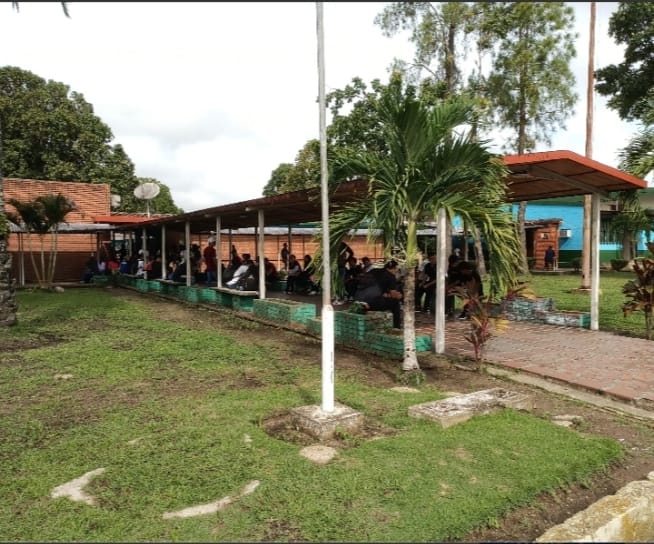Universidad Ludovico Silva