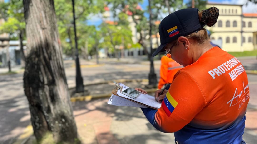 PCAD Maturín inspecciona árboles para prevenir riesgos por ondas tropicales 2 arboles2