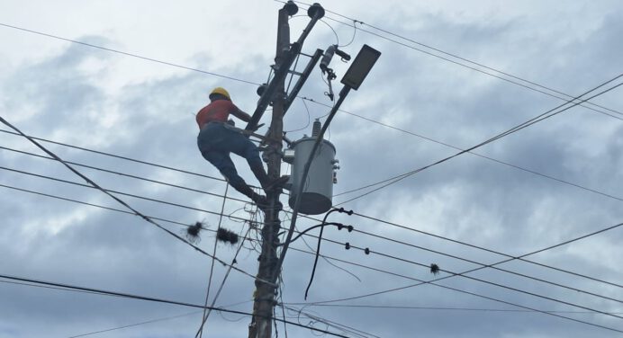 Alcaldía de Cedeño sustituye transformadores