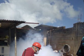 fumigación