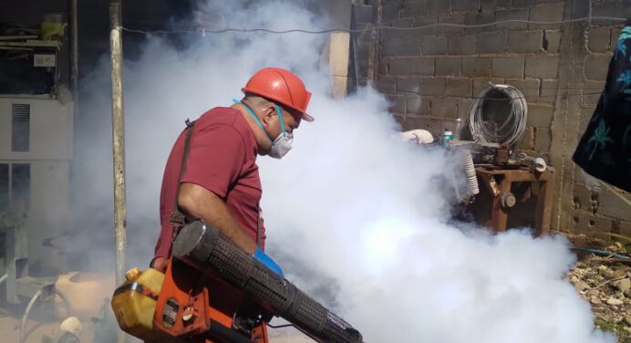 Intensifican fumigación contra el “patas blancas” en el municipio Maturín