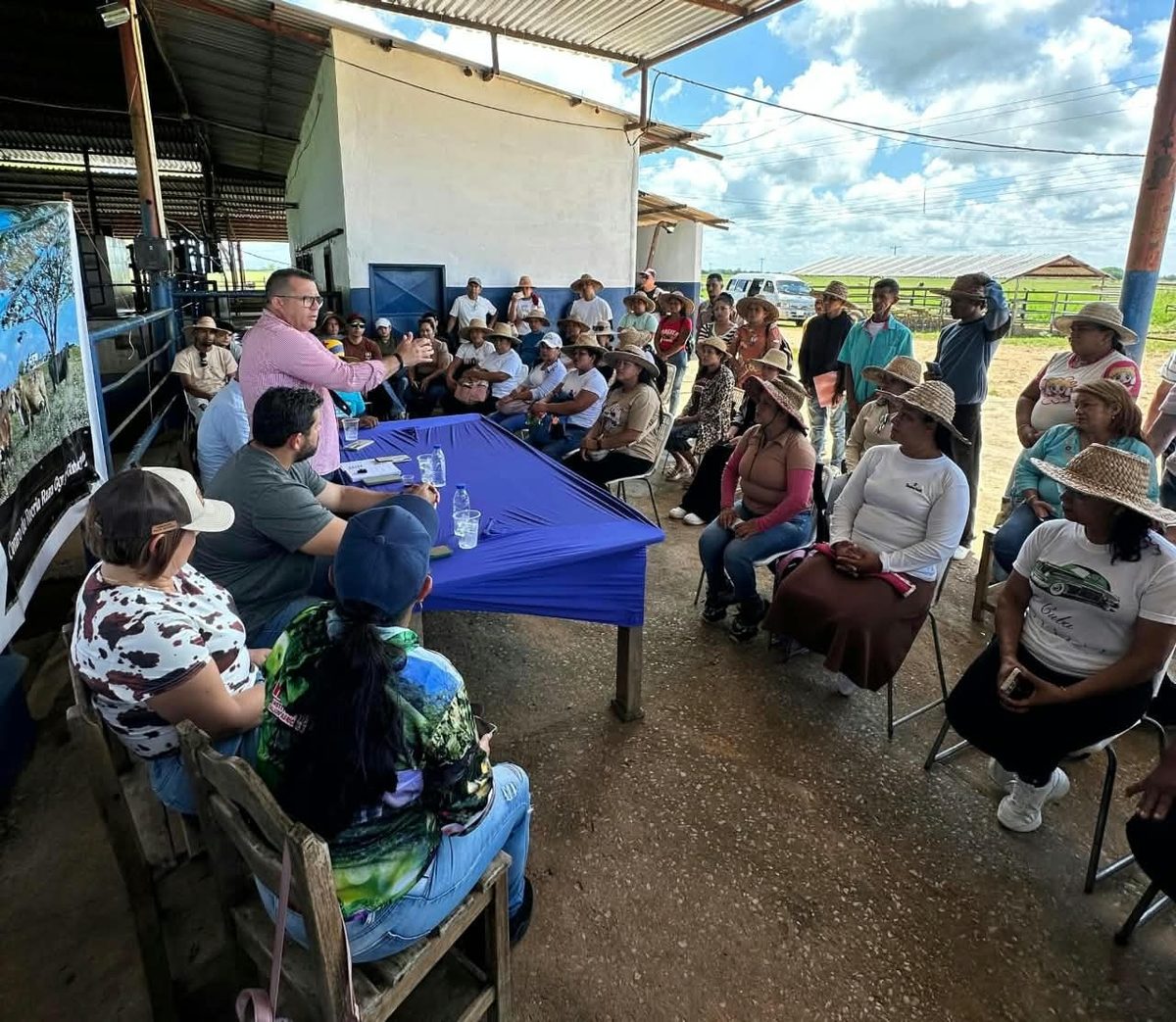 Caracterización del ganado bovino potencia a productores en Ezequiel Zamora 2 ganado2