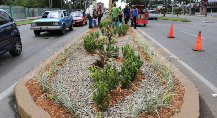 Inicia recuperación de paisajismo en la Avenida Raúl Leoni