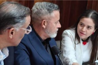 Postulaciones Judiciales