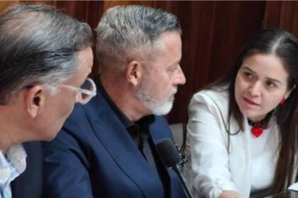 Postulaciones Judiciales