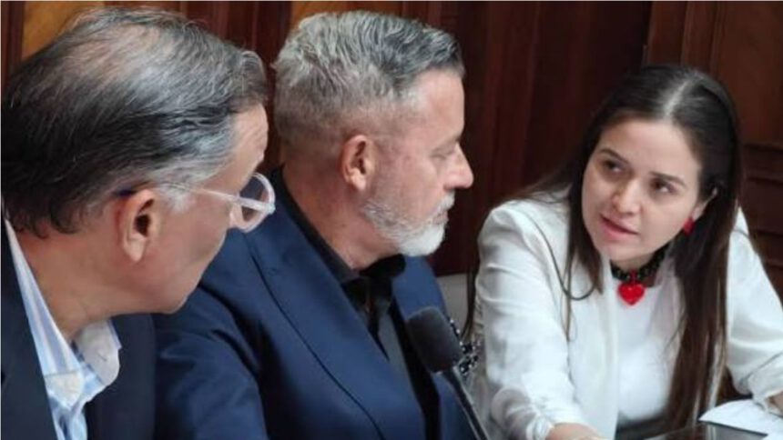 Postulaciones Judiciales