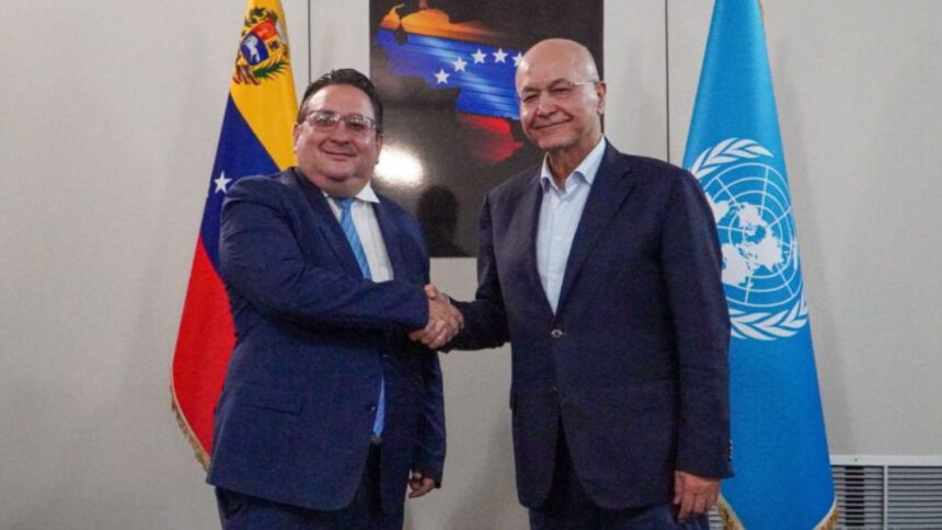 Comisionado de la Onu