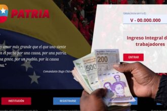 Ingreso Integral en PATRIA