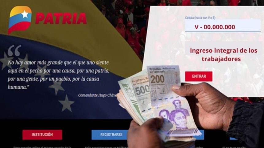 Ingreso Integral en PATRIA