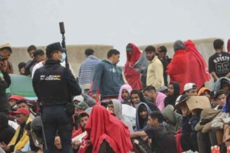 migrantes