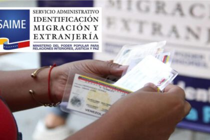 Verificación de datos