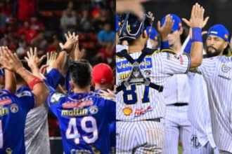 Tiburones