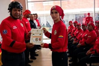 brigadistas