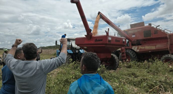 Arranca cosecha de maíz en Monagas impulsada por Plan Agroalimentario Comunal