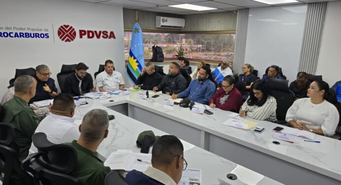 Gobierno unifica esfuerzos para mejorar el Sistema Eléctrico Nacional