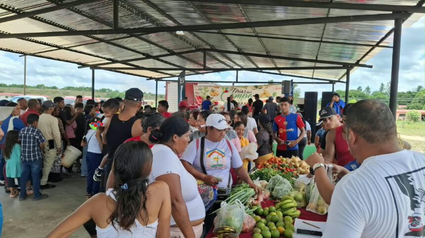 Realizan despliegue de Ferias del Campo Soberano en el municipio Libertador 1 feria