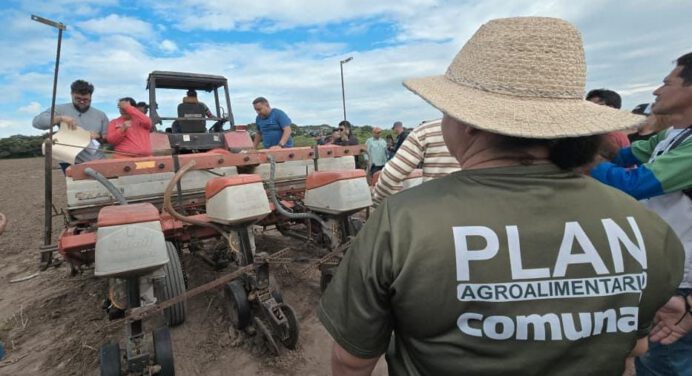 Inicia primera fase de la siembra mecanizada de frijol en Cedeño