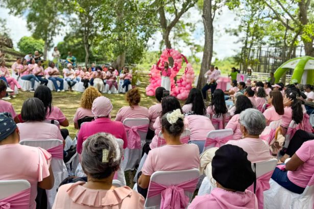 damas rosa