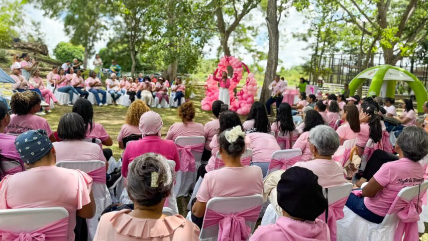 damas rosa