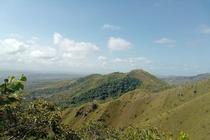 mirador