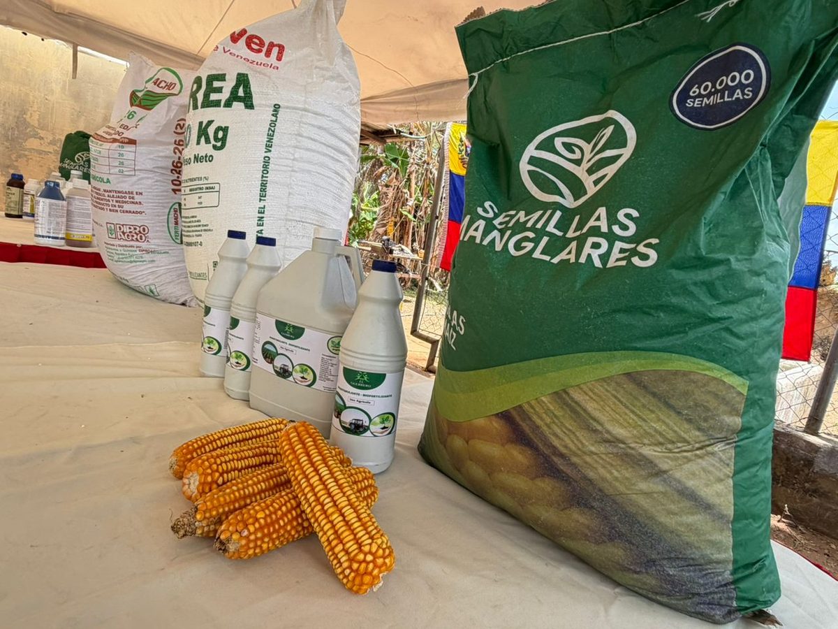 Más de 2 mil 700 productores afianzan sector agrícola en Monagas 2 productores2