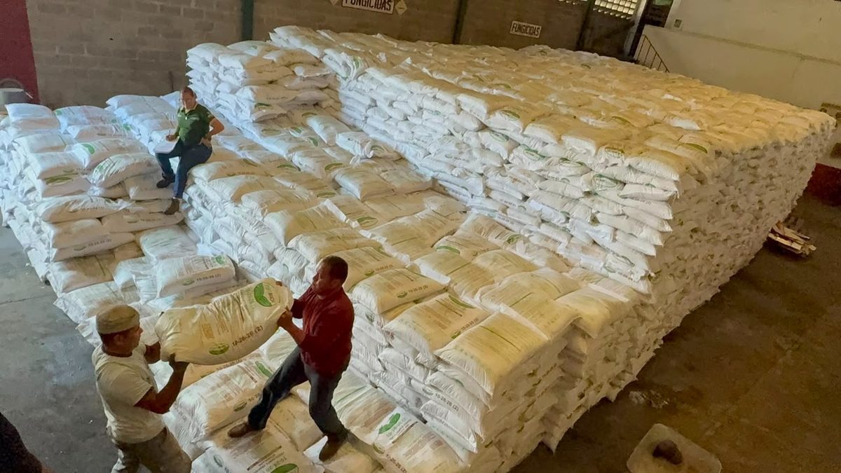 Más de 2 mil 700 productores afianzan sector agrícola en Monagas 3 productores3